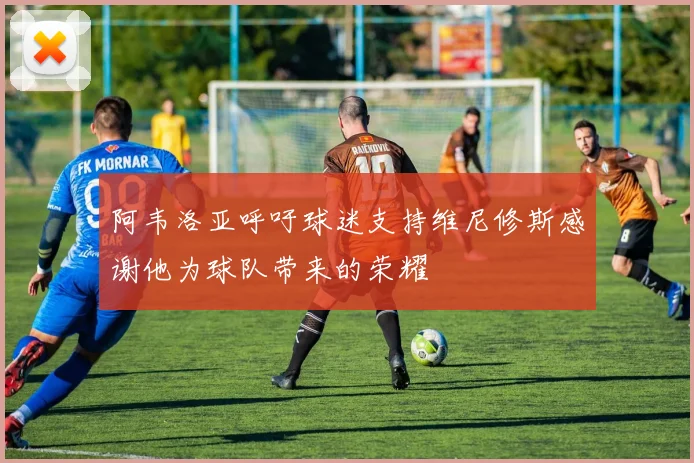 阿韦洛亚呼吁球迷支持维尼修斯感谢他为球队带来的荣耀