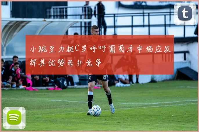 小豌豆力挺C罗呼吁葡萄牙中场应发挥其优势而非竞争